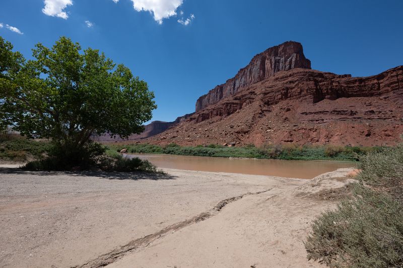 Sandy launch area on the Colorado at Hittle Bottom, a cottonwood at left and a dark-capped red butte rising across the river.