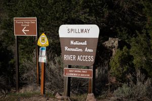 Wooden signs among junipers at the Spillway river access: a Flaming Gorge Dam Overlook arrow, a U.S. Forest Service fee-area marker, and the Ashley National Forest Spillway River Access sign.