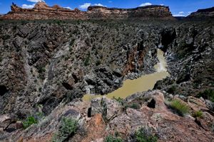 westwater canyon sock it to me birdseye 1