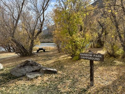 Rainbow Park campground on the Green River in Dinosaur National Monument