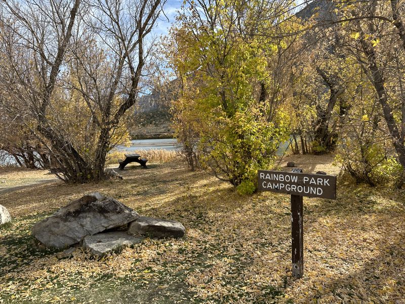 Wooden Rainbow Park Campground sign beside golden cottonwoods and leaf-covered ground, with a picnic table and the river visible through the trees.