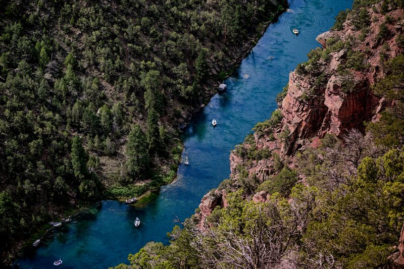 Looking down from a forested rim onto the clear blue-green Green River winding through Red Canyon, with small boats spread along the water between conifer-covered slopes and red rock cliffs.