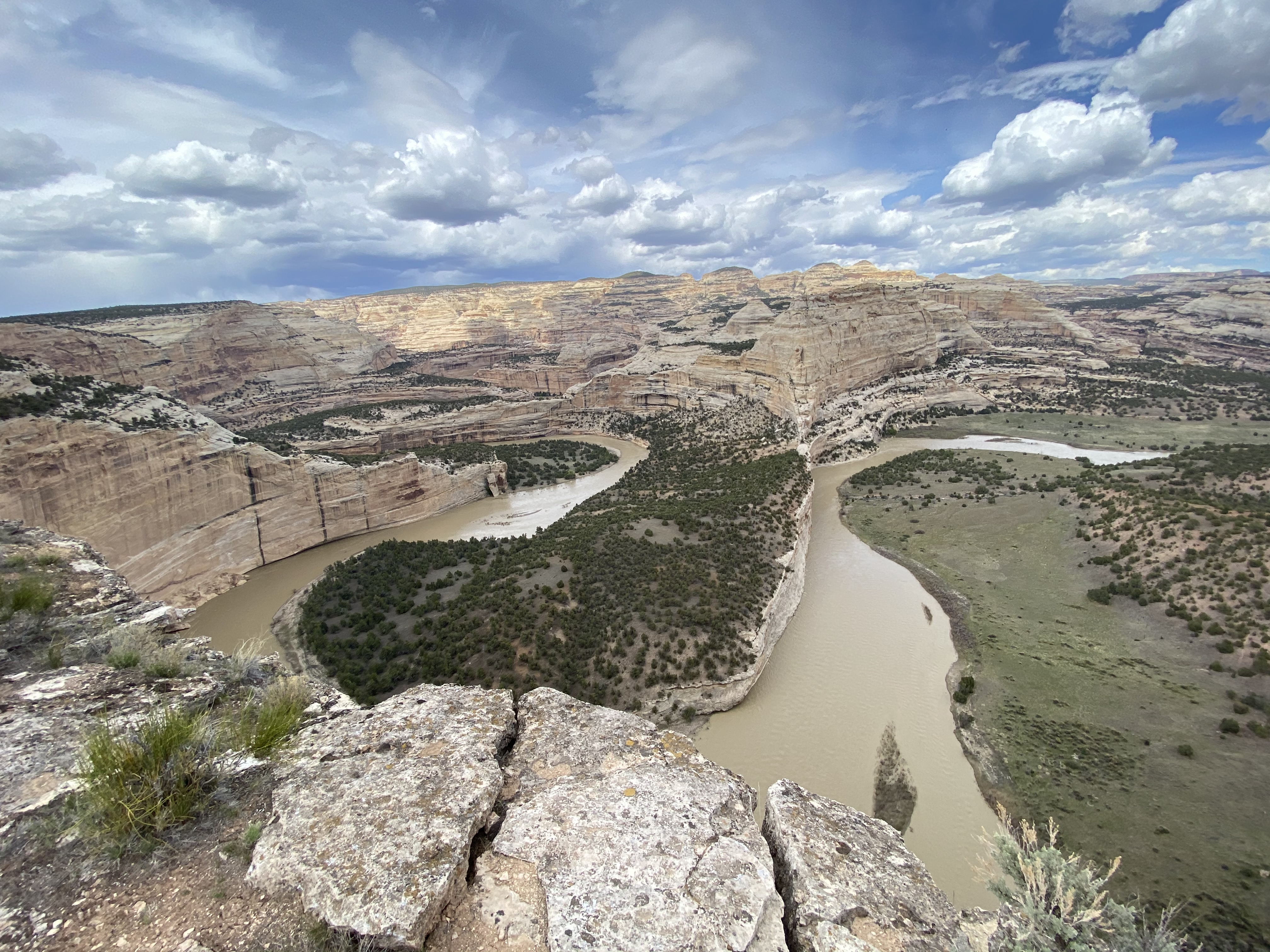 Yampa Canyon River Trip