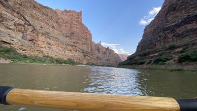 View over a wooden oar shaft from a boat on calm flatwater in Cataract Canyon, looking downstream toward the Gypsum Canyon area between tall layered walls, with a thin rock spire on the skyline.