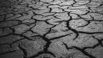 Black-and-white close-up of deeply cracked dried mud, the polygonal plates and dark fissures thrown into relief by low raking light.