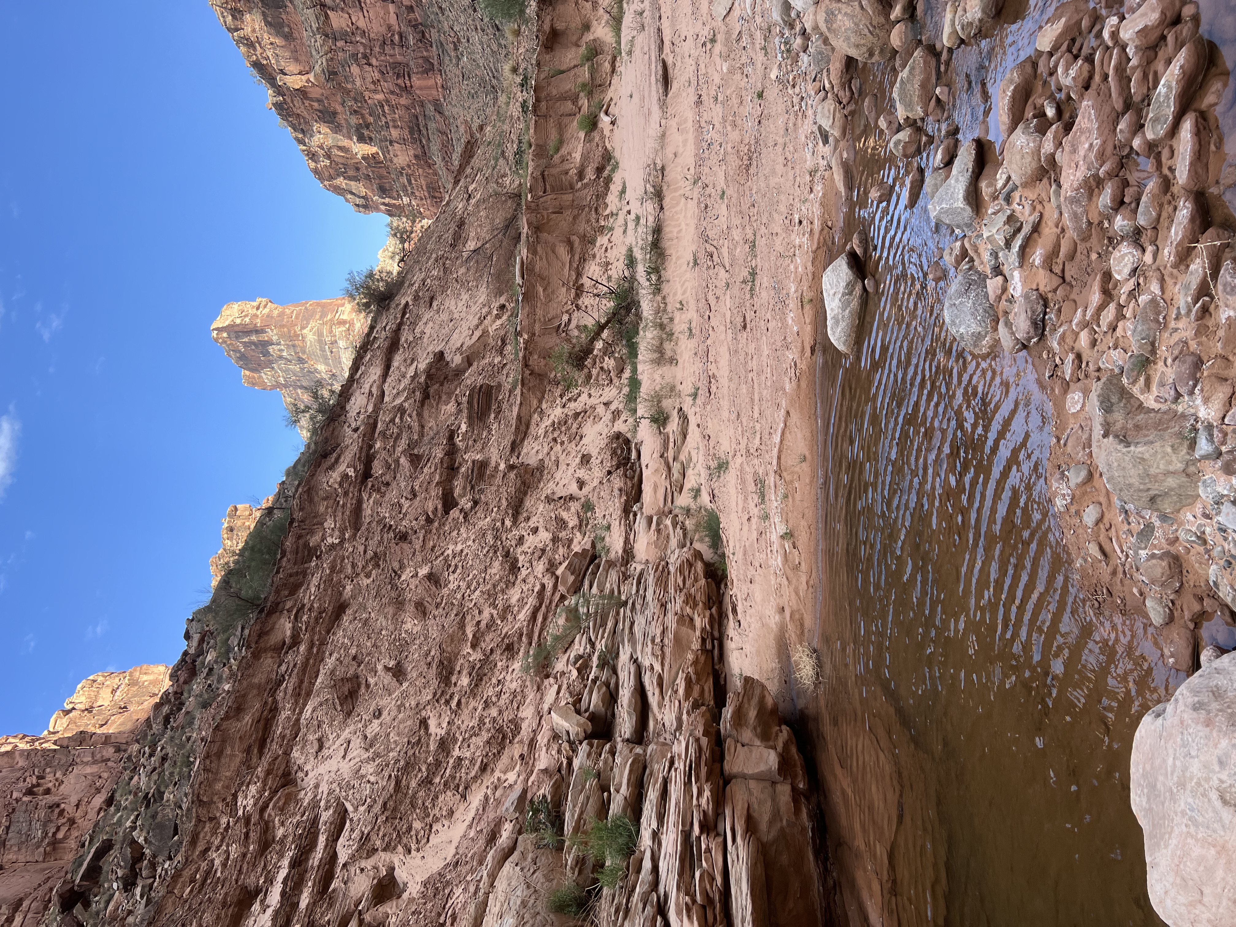 dark canyon hike detail 2022 05 20