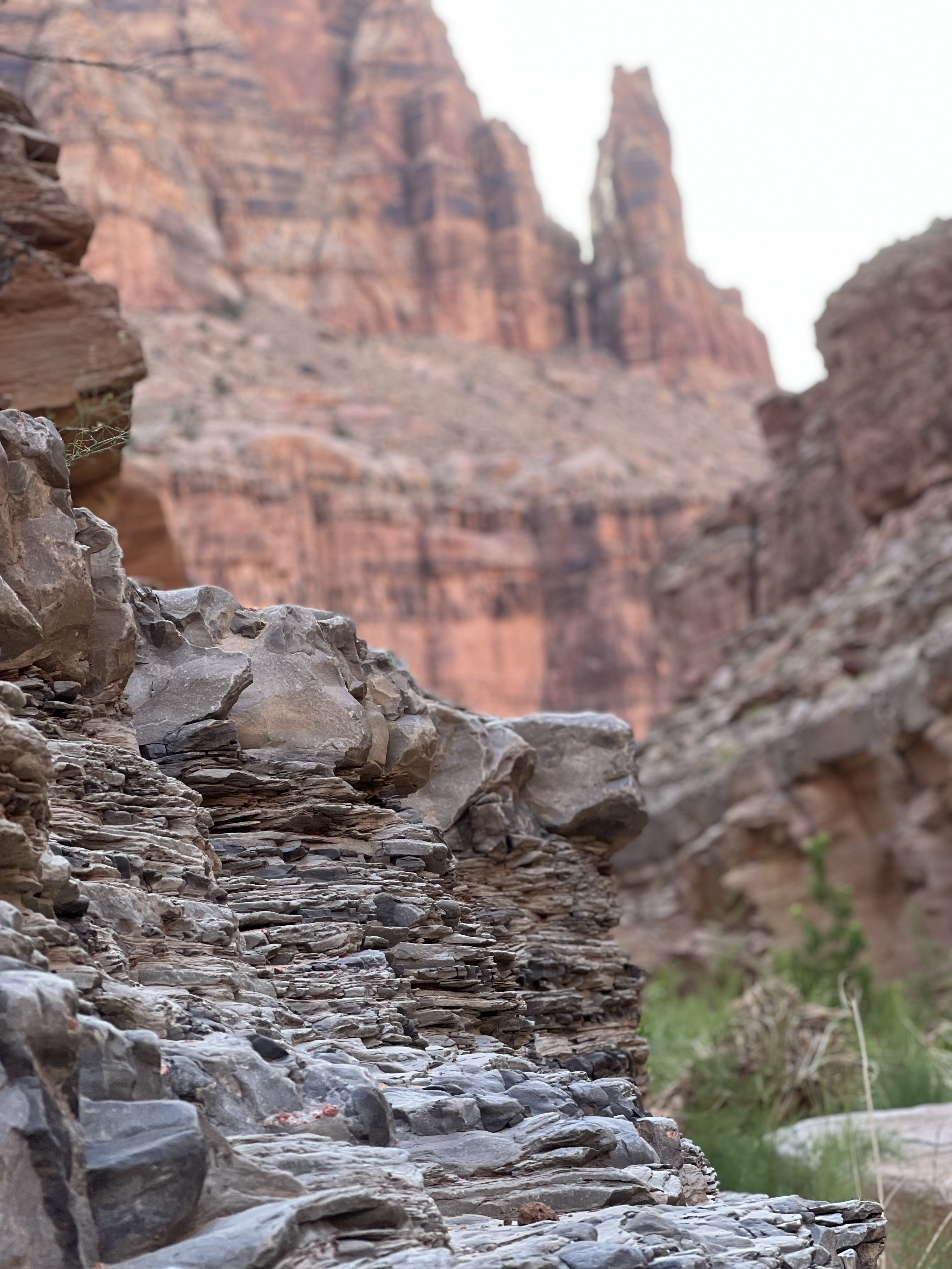 dark canyon rock detail 2022 05 20