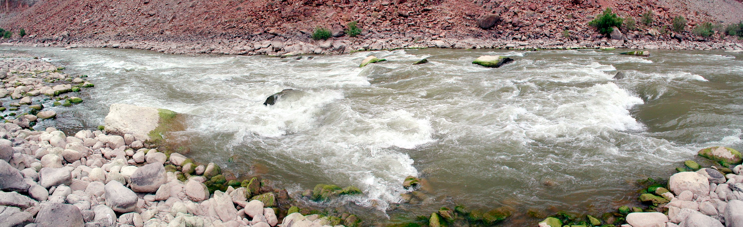 Rapid 20 (Ben Hurt)