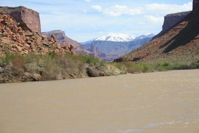 Muddy spring flatwater on the Colorado River with green tamarisk banks and red rock slopes on both sides, the Fisher Towers and snow-covered La Sal Mountains rising downstream under scattered clouds.