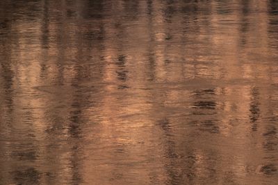 Frame-filling view of moving river water lit copper and bronze by low sun