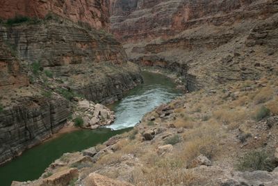 From a dry grassy slope, the green Colorado River sweeps around a bend between dark ledged walls topped by red cliffs.
