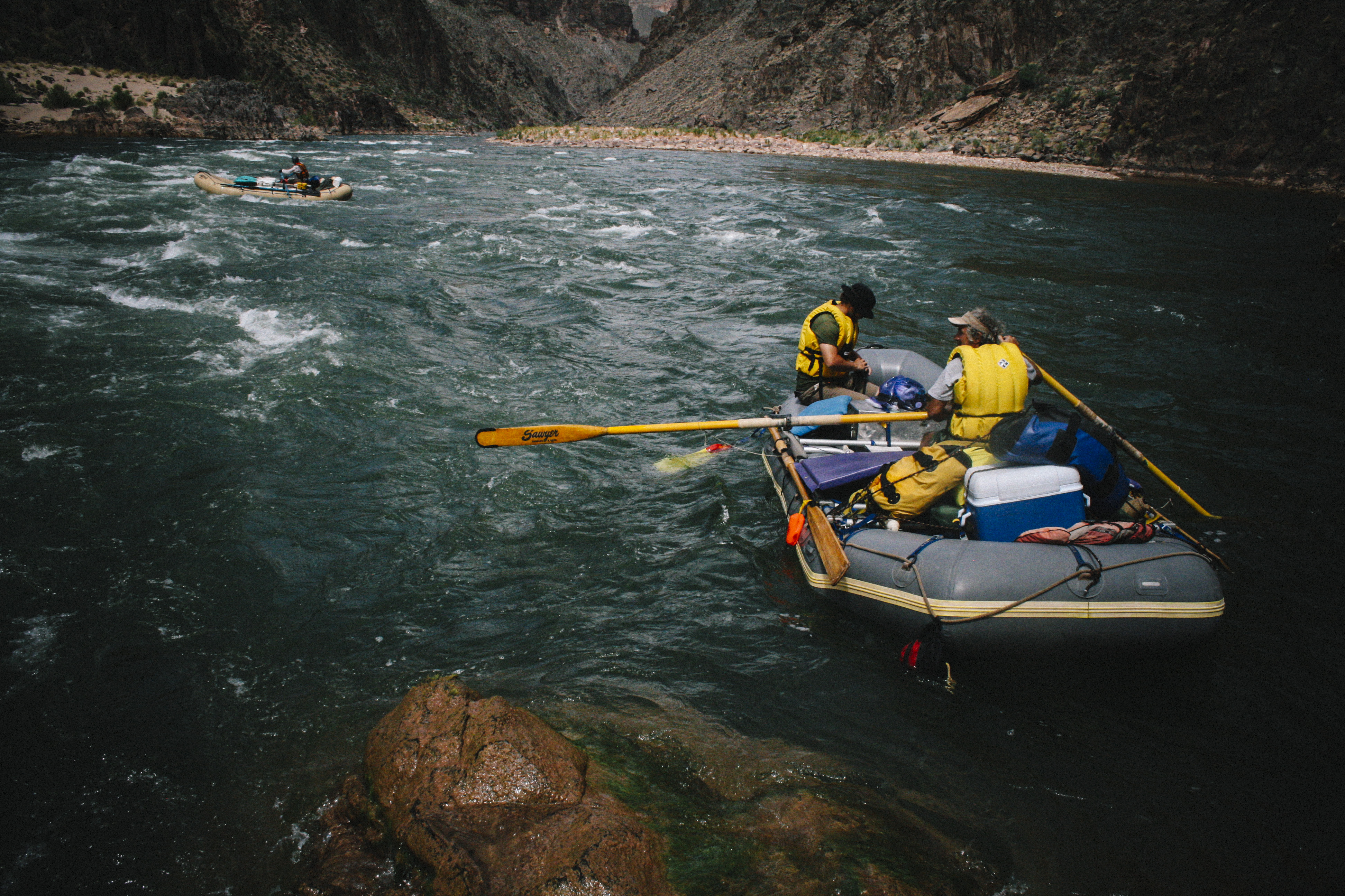 rafts berry golden