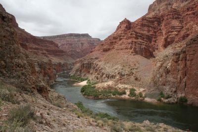 The green Colorado River bends around a brushy sandbar edged with white sand beaches beneath red desert buttes under an overcast sky.