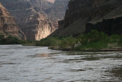 The muddy Colorado River slides past a grassy bank toward a sunlit canyon wall deeper in the shadowed gorge.