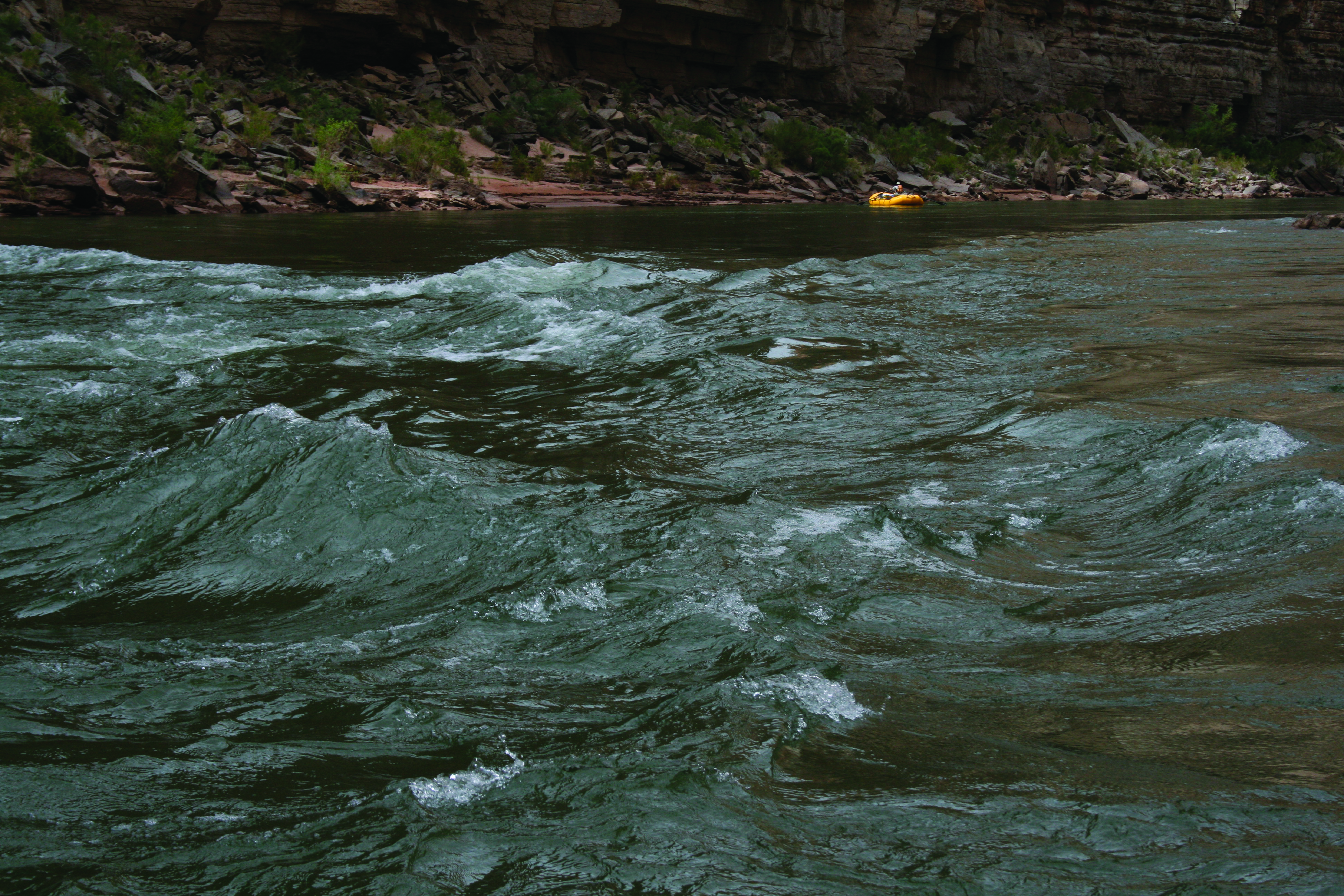 Rioeddy_4958 01