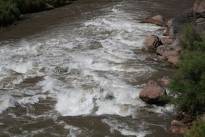 IMG_5044