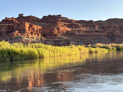 Early evening light on caprock-studded red ledges above the Colorado River in Meander Canyon, with sunlit willows and reeds glowing yellow-green and reflecting in the glassy water.