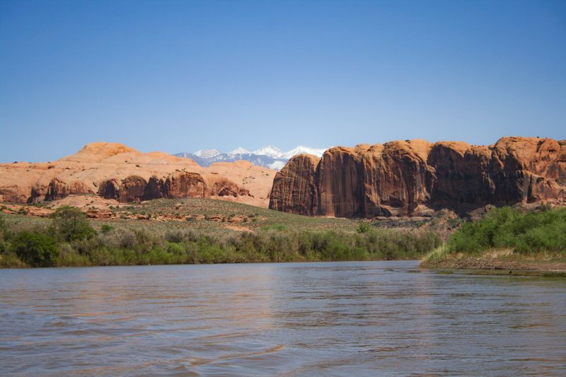 Silty spring flow on the Colorado River below Moab, with red slickrock domes on the right bank and the snow-capped La Sal Mountains on the horizon.