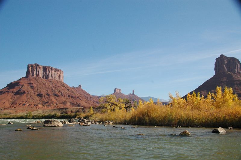 Rocky riffle on the Colorado River along the Moab Daily, with golden fall cottonwoods on the bank and red sandstone buttes and distant towers under a clear blue sky.