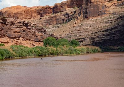 Silty red-brown Colorado River below a stepped bench of red sandstone cliffs, a thick band of tamarisk along the far bank and two small figures out on the water.