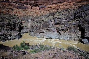 skull rapid