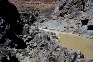 skull rapid