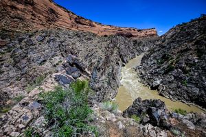 skull rapid