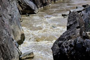 skull rapid