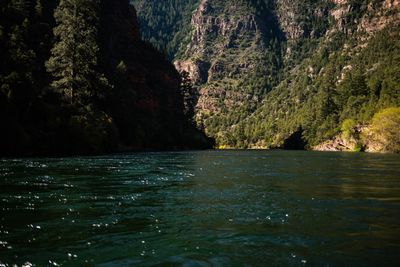 Jewel-green water sparkles in low sun below steep conifer-covered slopes and shaded red rock cliffs on the Green River's A Section.