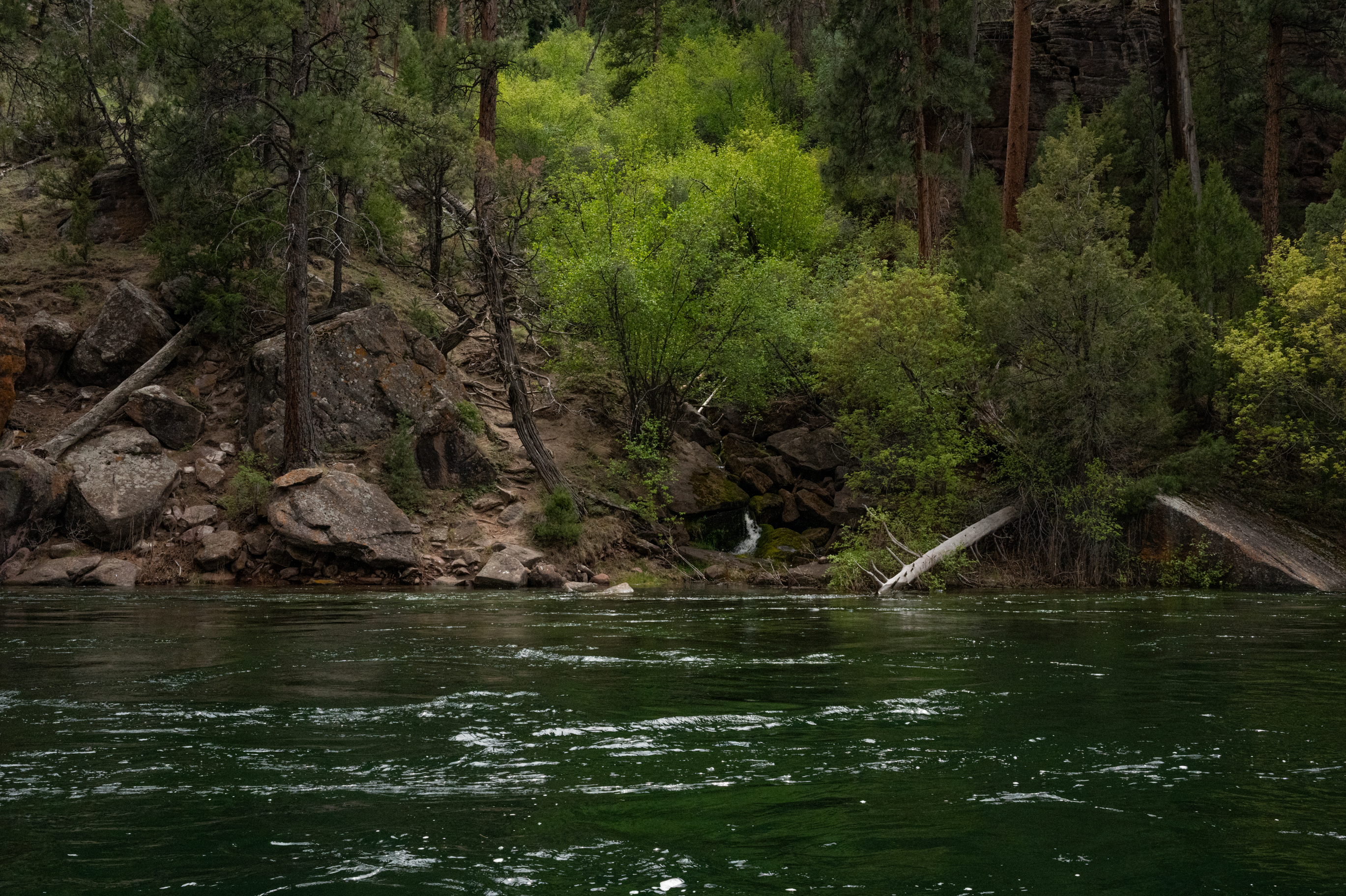 shoreline green river a section 1