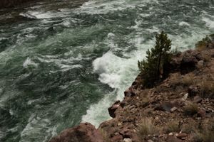 red creek rapid 9800 cfs