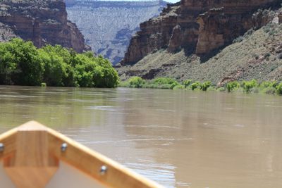 The varnished wooden bow of a dory points downstream across flat silty water toward a notch in the canyon walls, with bright green cottonwoods crowding the left bank in Desolation Canyon.