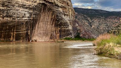 The desert-varnish-streaked face of Steamboat Rock rises straight out of the silty Green River at Echo Park, with brushy banks in the foreground, juniper-covered slopes behind, and gray clouds overhead.