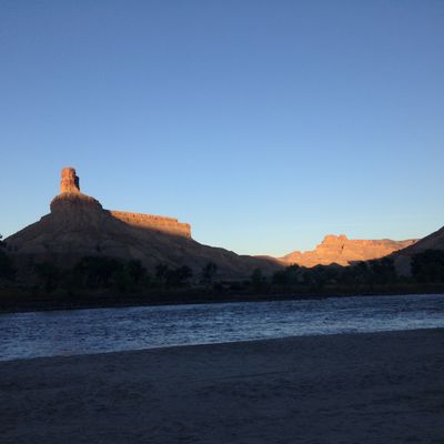 Last light catches the chimney summit of Gunnison Butte above silhouetted cottonwoods, seen across the darkening Green River from a sandy beach at dusk.