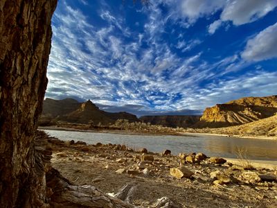 Winter view framed by a cottonwood trunk at the Swaseys boat ramp, looking across the silty Green River to frost-pale cottonwoods and golden cliffs at the mouth of Gray Canyon under a mackerel sky.