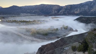 Dawn fog fills the valley where the Green River bends through Rainbow Park, with frosted benches and autumn cottonwoods below the tilted striped cliffs of Split Mountain.
