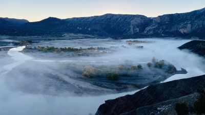 Cold blue pre-sunrise light over a fog-filled valley where the Green River loops around cottonwood-covered bottomland beneath high desert cliffs.