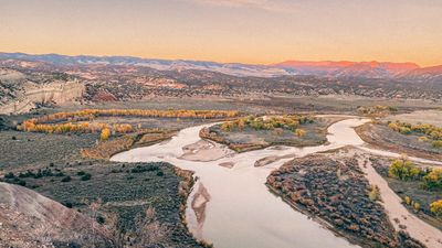 Overlook view of the Green River braiding around sandbars and yellow fall cottonwoods in the open Island Park valley at dusk, with pink light on distant cliffs.