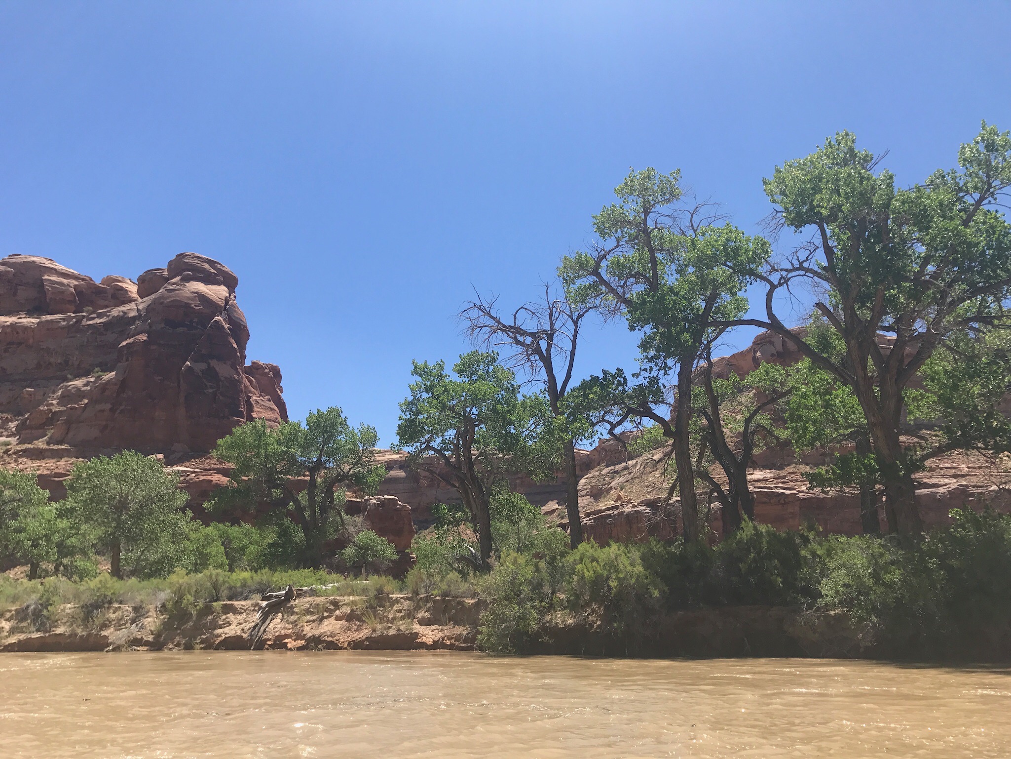 Trin-Alcove Camp
