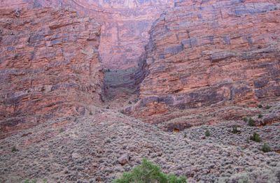 A steep scree gully splits towering red canyon walls above a slope of sagebrush and scattered boulders in Lodore Canyon, in soft pink light.
