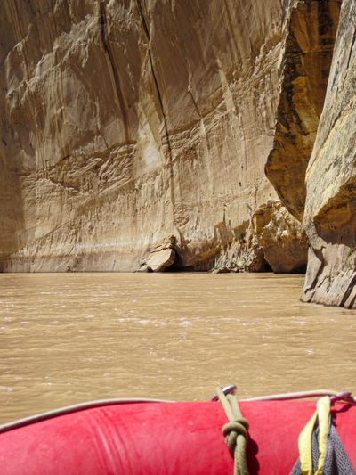 View from the bow of a red raft on calm muddy water, approaching a sheer streaked sandstone wall rising straight from the Green River in Dinosaur National Monument.