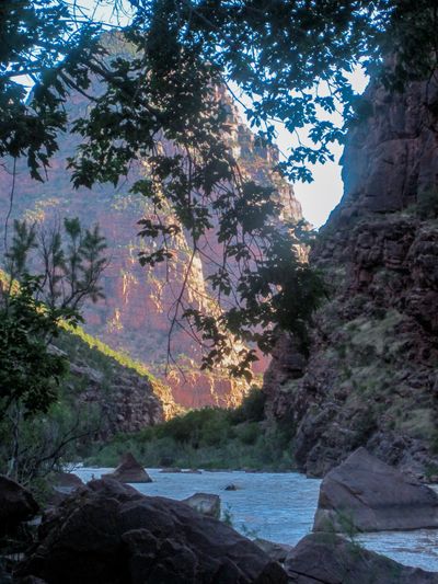 The Green River glimpsed through overhanging leafy branches from a shaded, boulder-strewn bank, with sunlit red canyon walls glowing farther down Lodore Canyon.