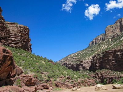 Layered red-brown cliffs and green pinyon-juniper slopes rise on both sides of the muddy Green River in Lodore Canyon under a deep blue sky.