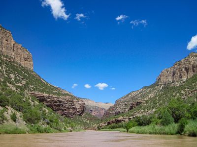 Downstream view of the muddy Green River filling the frame between green canyon slopes and distant red walls in Lodore Canyon under a vivid blue sky.