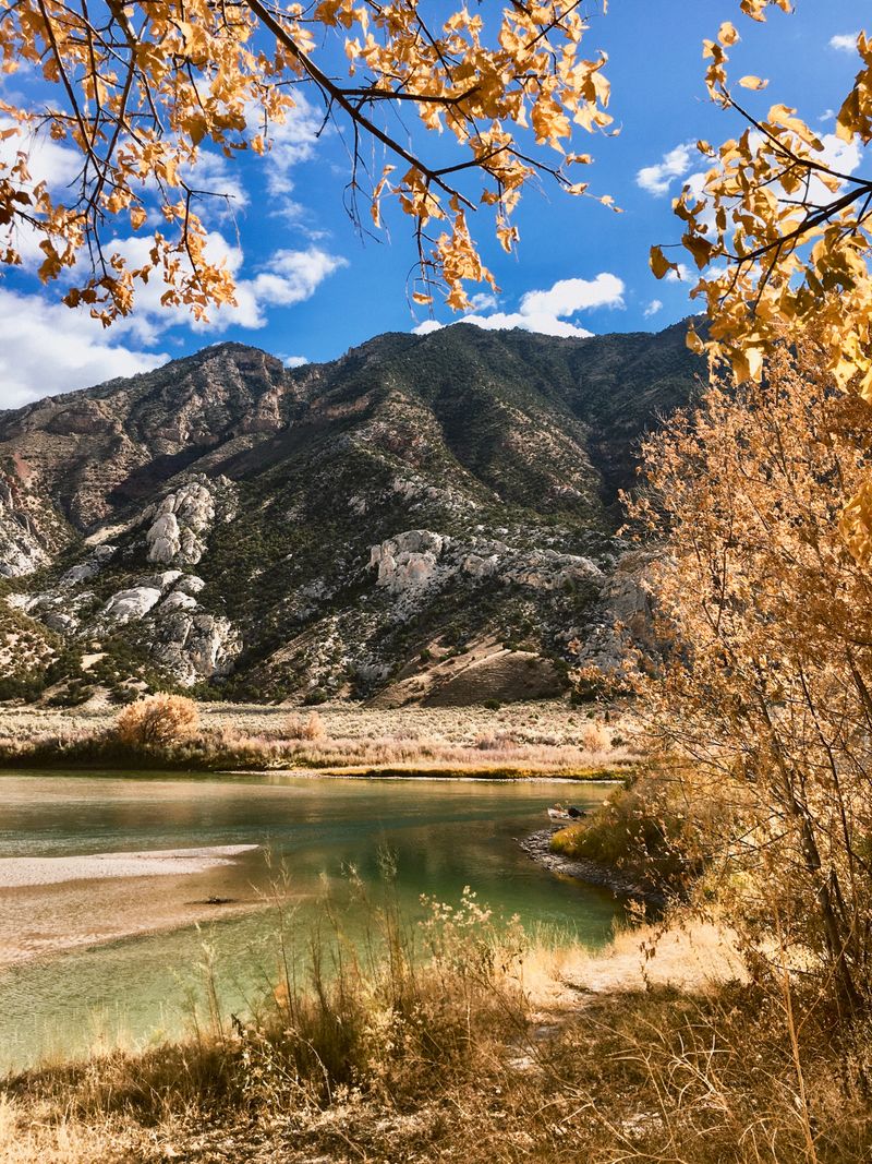 Golden cottonwood branches frame a calm green stretch of the Green River