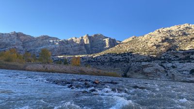 Riffling water over cobbles leads toward golden cottonwoods and the high tilted cliffs of Split Mountain under a clear blue autumn sky.