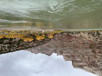 The green Green River sweeps past a cobble shore and a band of golden cottonwoods below striped red-and-tan canyon slopes in Split Mountain Canyon under a gray sky.