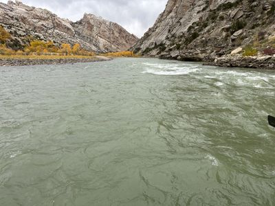 Looking downstream from the water at a wide bend of the Green River, with golden cottonwood benches on both banks and the tilted walls of Split Mountain converging under an overcast sky.
