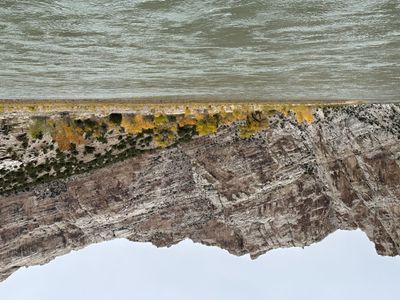A pale, fractured canyon wall with a jagged skyline stands above a bench of golden cottonwoods and the gray-green water of the Green River.