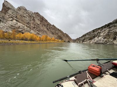 View from the oarsman's seat of a raft on the Green River, with an oar extended over the water, golden cottonwoods below a huge tilted striated wall, and a storm-gray sky over the canyon downstream.